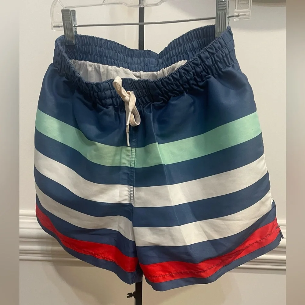 Chubbies, Men's Me Likey the Stripey 4”Swim Shorts 🩳 (Deep Blue/) Sz S